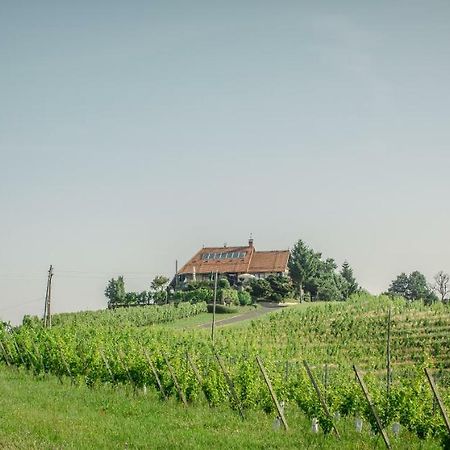 Taverna & Wine Jeruzalem Ivanjkovci Esterno foto