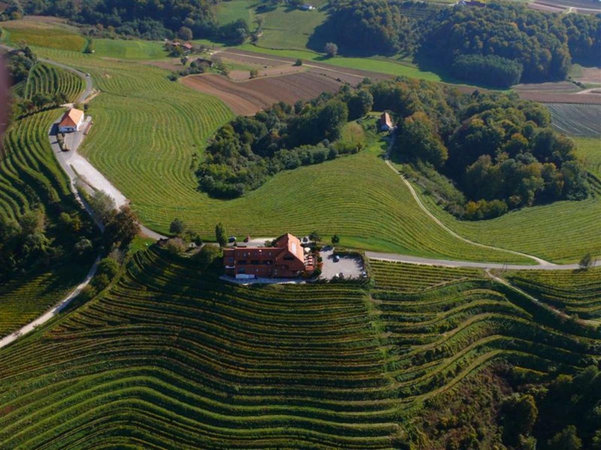 Taverna & Wine Jeruzalem Ivanjkovci Esterno foto