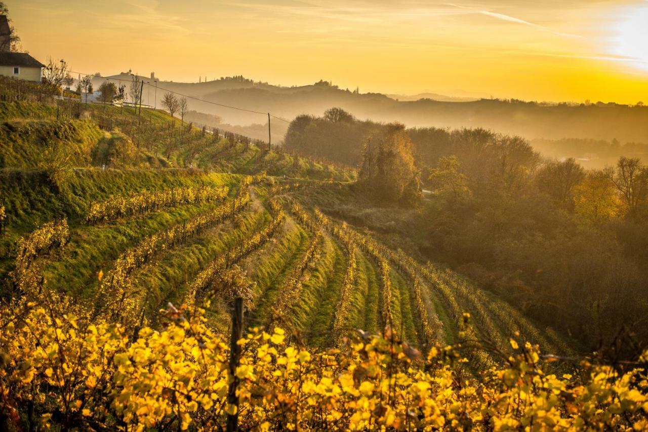 Taverna & Wine Jeruzalem Ivanjkovci Esterno foto