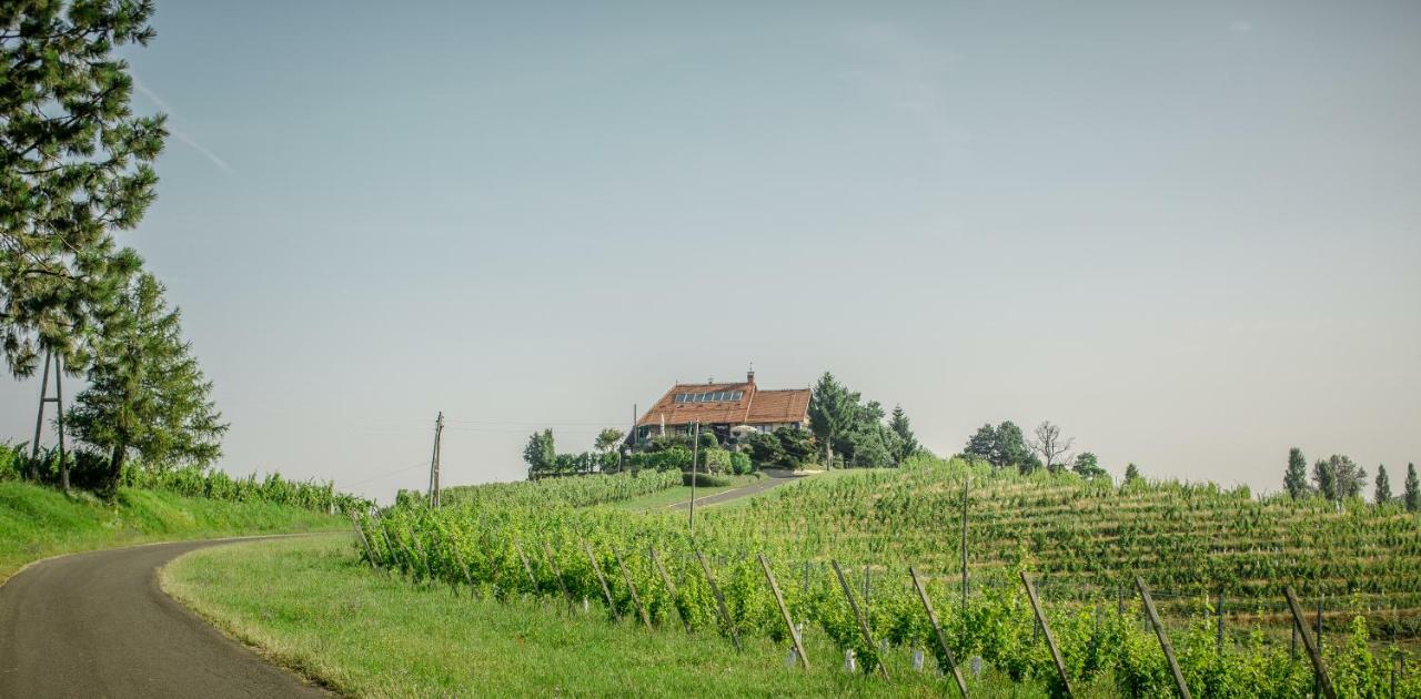 Taverna & Wine Jeruzalem Ivanjkovci Esterno foto